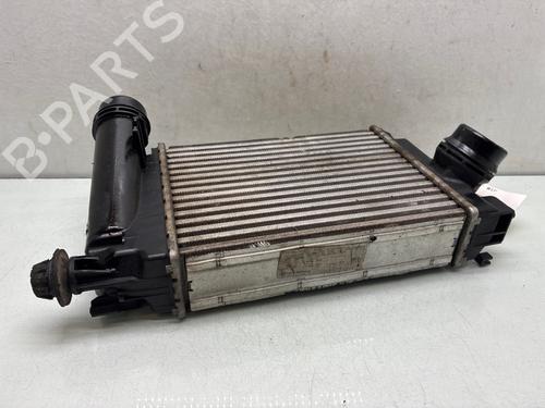 Used Intercooler Intercooler RENAULT KADJAR (HA_, HL_) 1.2 TCe 130 (HLMR) (130 hp) 40439030 40439030