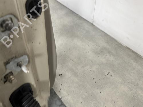 Right front door RENAULT CLIO III (BR0/1, CR0/1) 1.5 dCi (BR17, CR17) | BP29841699C3