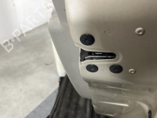 Right front door RENAULT CLIO III (BR0/1, CR0/1) 1.2 16V (BR02, BR0J, BR11, CR02, CR0J, CR11) | BP28824749C3 
