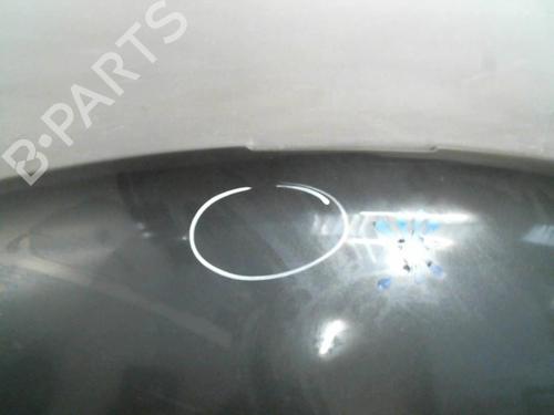 Used Hood PEUGEOT 807 (EB_) 2.0 HDi (107 hp) 21950174