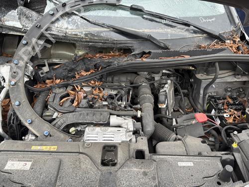 Deurruit rechts achter PEUGEOT 5008 II (MC_, MJ_, MR_, M4_) 1.2 THP (MRHNYH, MRHNYW, MRHNSJ, MRHNSU, MRHNSM) | BP30864066C21