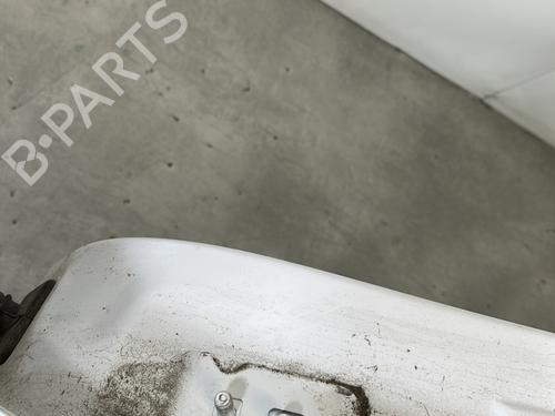 Left rear door RENAULT CLIO III (BR0/1, CR0/1) 1.5 dCi (BR17, CR17) | BP29481889C4 