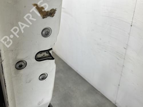 Left front door FIAT DUCATO Van (250_) 100 Multijet 2,2 D | BP24884256C2 