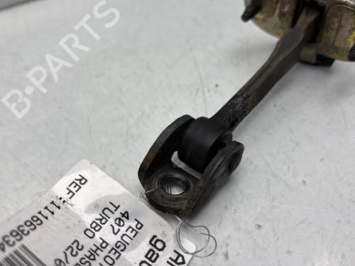 Hinge/Door check strap PEUGEOT 407 (6D_) 1.6 HDi 110 (6D9HZC, 6D9HYC) | BP28625369C146 