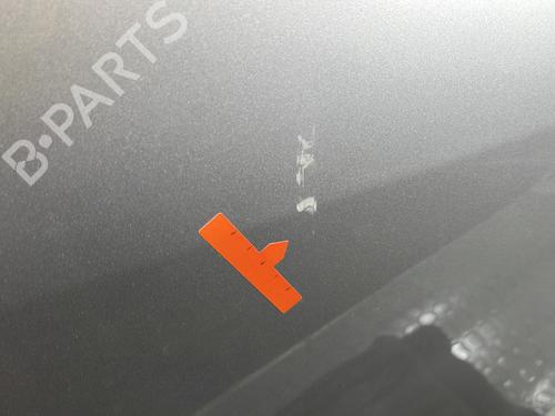 Left rear door DACIA SANDERO 1.5 dCi | BP29711673C4 