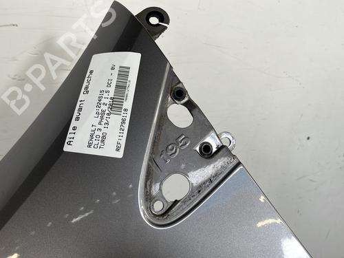 Left front fenders RENAULT CLIO III (BR0/1, CR0/1) 1.5 dCi (C/BR0G, C/BR1G) | BP29329274C41 