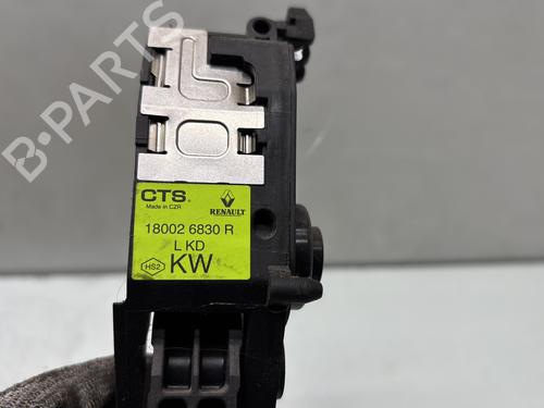 Pedal RENAULT MEGANE IV Hatchback (B9A/M/N_) 1.5 dCi 110 (B9A3) | BP29866832I4 