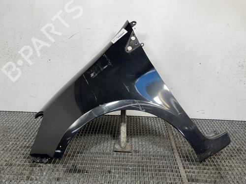 Used Left front fenders RENAULT CLIO III (BR0/1, CR0/1) 1.5 dCi (BR17, CR17) (86 hp) 27535131