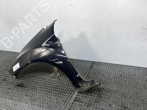 Left front fenders FORD FIESTA VI (CB1, CCN) 1.4 TDCi | BP27605723C41 