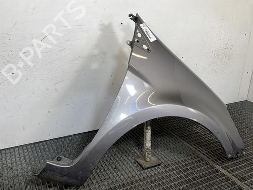 Right front fenders RENAULT CLIO III (BR0/1, CR0/1) 1.5 dCi (C/BR0G, C/BR1G) | BP29323887C42 