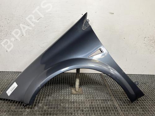 Used Left front fenders RENAULT MEGANE II Estate (KM0/1_) 1.5 dCi (KM16, KM1E) (106 hp) 30900350