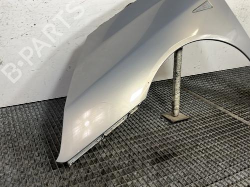 Left front fenders RENAULT ESPACE IV (JK0/1_) 2.2 dCi (JK0H) | BP29842203C41 