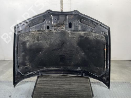 Hood SEAT IBIZA III (6L1) 1.9 TDI | BP24666645C1 