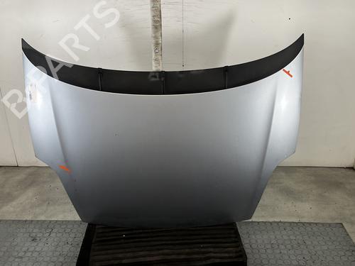 Used Hood FIAT GRANDE PUNTO (199_) 1.3 D Multijet (75 hp) 29841450