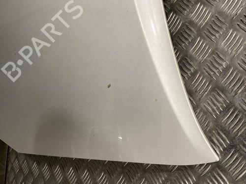 Hood TOYOTA COROLLA Verso (ZER_, ZZE12_, R1_) 2.2 D-4D (AUR10_, AUR10R) | BP21956284C1 