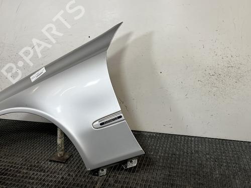 Left front fenders MERCEDES-BENZ E-CLASS (W211) E 220 CDI (211.006) | BP30082772C41