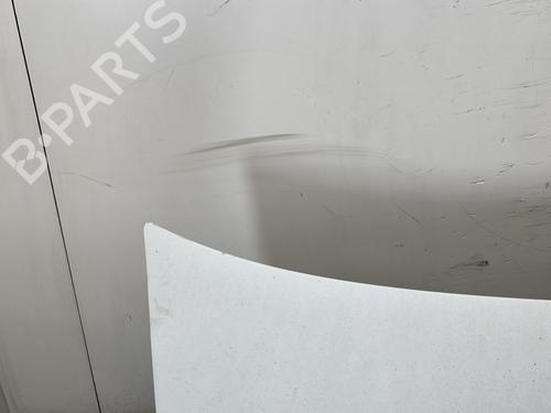 Hood RENAULT MASTER II Platform/Chassis (ED/HD/UD) 2.2 dCI 90 (ED0G, ED0N, HD0G, HD0N, HD1G, HD1N, UD0G,... | BP30059799C1 