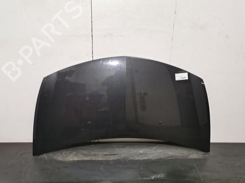 Used Hood RENAULT CLIO III (BR0/1, CR0/1) 1.4 16V (98 hp) 20182475