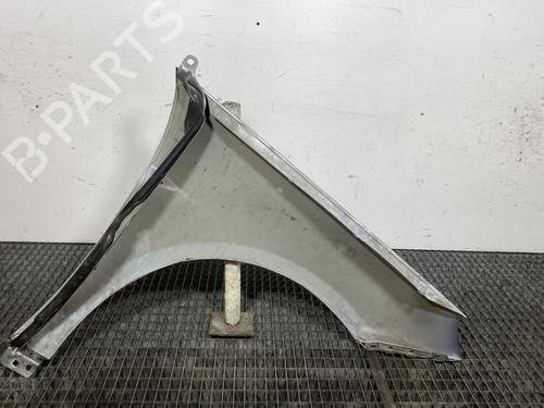 Left front fenders MERCEDES-BENZ B-CLASS Sports Tourer (W245) B 180 CDI (245.207) | BP23906457C41 
