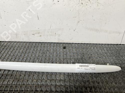 Pynteliste til bagklap PEUGEOT 206 Hatchback (2A/C) 1.4 HDi eco 70 (68 hp) 31641523