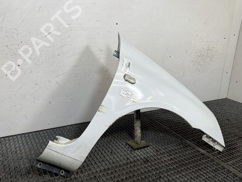 Forskærm Højre RENAULT CLIO II (BB_, CB_) 1.5 dCi (B/CB07) | BP29886966C42