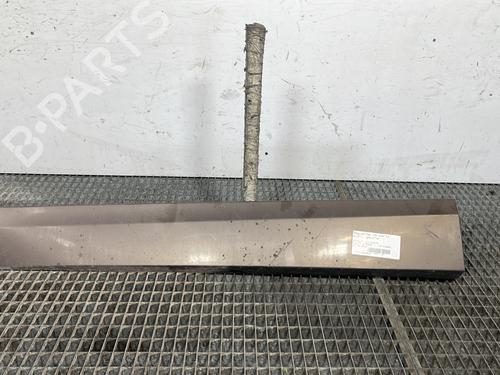 Dørliste RENAULT SCÉNIC III (JZ0/1_) 1.9 dCi (JZ0J, JZ1J, JZ1K, JZ1S) (131 hp) 31880941