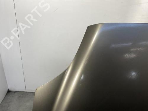 Hood FIAT CROMA (194_) 1.9 D Multijet (194AXC1B, 194AXC12) | BP20597694C1 