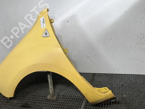 Left front fenders RENAULT KANGOO Express (FW0/1_) 1.5 dCi 70 (FW0A, KW0V) | BP29413649C41 