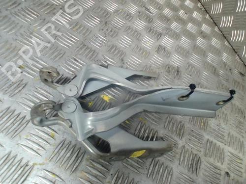 Hinge/Door check strap NISSAN PRIMERA Hatchback (P12)  | BP20010259C146 