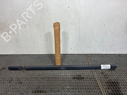 Dørliste Dørliste RENAULT CLIO III (BR0/1, CR0/1) 1.5 dCi (75 hp) 39455132 39455132