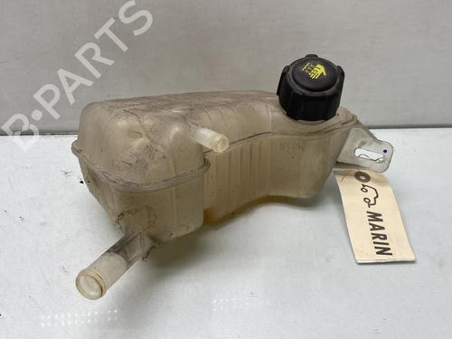 expansion-tank-renault-scenic-ii-jm01_-2003-2004-2005-2006-2007-2008-2009-2010-31379770 main image