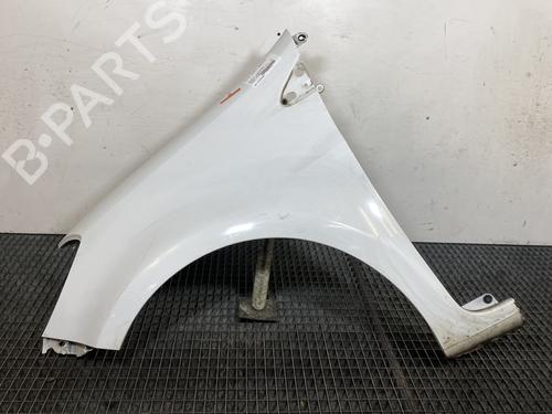 Used Left front fenders RENAULT CLIO III (BR0/1, CR0/1) 1.5 dCi (88 hp) 21820362