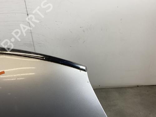 Hood CITROËN C4 Grand Picasso I (UA_) 1.6 HDi | BP21785071C1