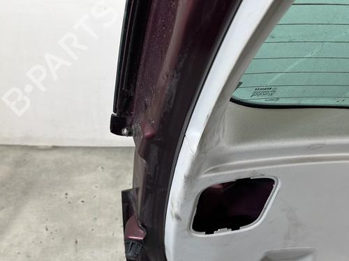 Tailgate RENAULT SCÉNIC III (JZ0/1_) 1.2 TCe | BP31594682C6 