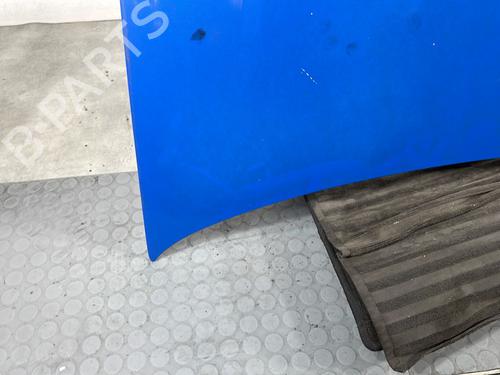Hood FIAT PANDA (169_) 1.2 (169.AXB11, 169.AXB1A) | BP29027990C1 
