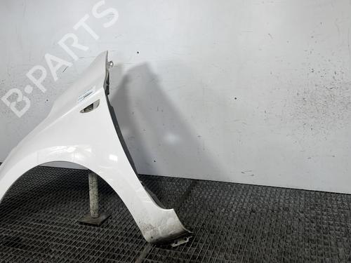Left front fenders HYUNDAI i20 I (PB, PBT) 1.1 CRDi | BP27252037C41 