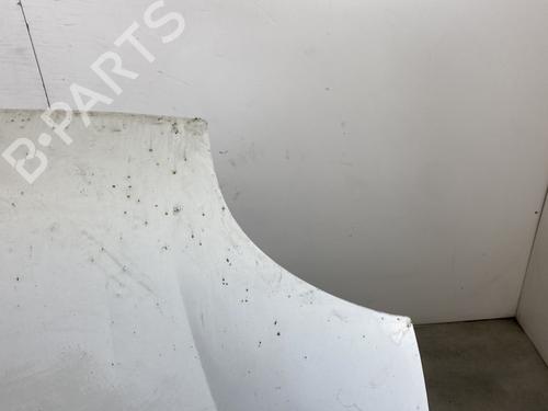 Hood RENAULT KANGOO (KC0/1_) D 55 1.9 (KC0D) | BP23440988C1