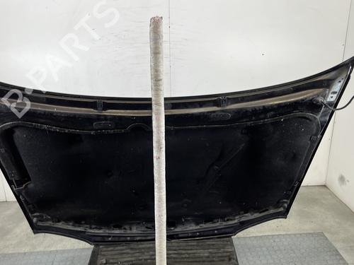 Hood VW GOLF IV (1J1) 1.9 TDI | BP29039403C1 