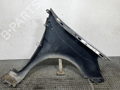 Left front fenders RENAULT CLIO III (BR0/1, CR0/1) 1.5 dCi (C/BR0G, C/BR1G) | BP30168992C41 