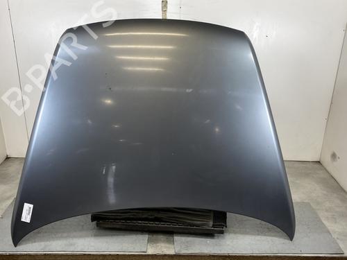 Capot VW TOUAREG (7LA, 7L6, 7L7) 2.5 R5 TDI (174 hp) 21051177