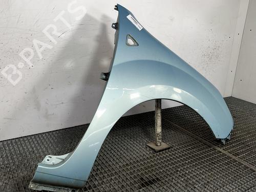 Right front fenders RENAULT KANGOO / GRAND KANGOO II (KW0/1_) 1.5 dCi 90 (KW05, KW08, KW0G, KW11) | BP28360519C42 