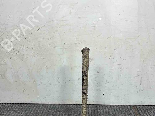 Dørliste Dørliste RENAULT CLIO III (BR0/1, CR0/1) [2005-2014] 36474388 36474388