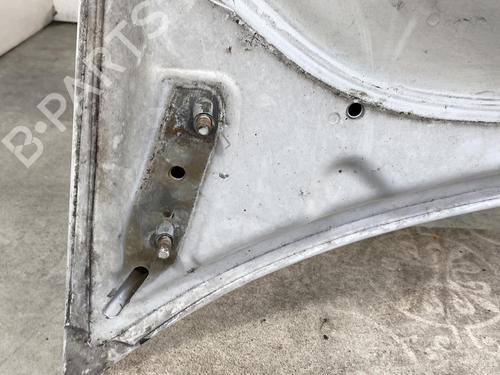 Hood MERCEDES-BENZ SPRINTER 3,5-t Van (B906) 311 CDI (906.631, 906.633, 906.635, 906.637) | BP30129381C1