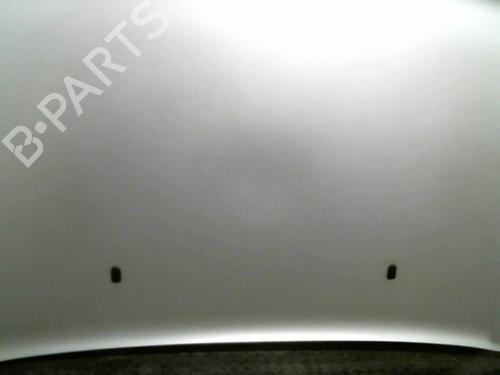Hood FORD TOURNEO CONNECT  | BP21949921C1 