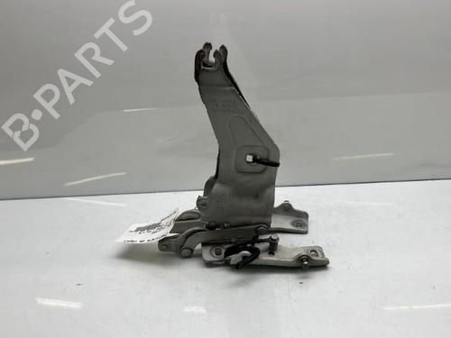 Hinge/Door check strap BMW X5 (E70)  | BP19950531C146 