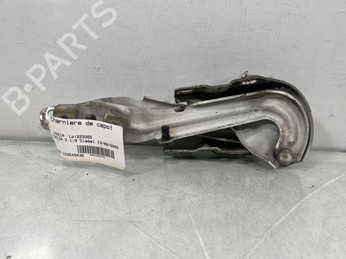 Used Hinge/Door check strap Hinge/Door check strap LANCIA DELTA III (844_) 1.9 D Multijet (844.AXE1A) (190 hp) 34358309 34358309