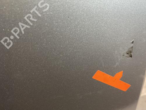 Used Right rear door Right rear door RENAULT SCÉNIC II (JM0/1_) 1.9 dCi (JM0G, JM12, JM1G, JM2C) (120 hp) 21960866 21960866