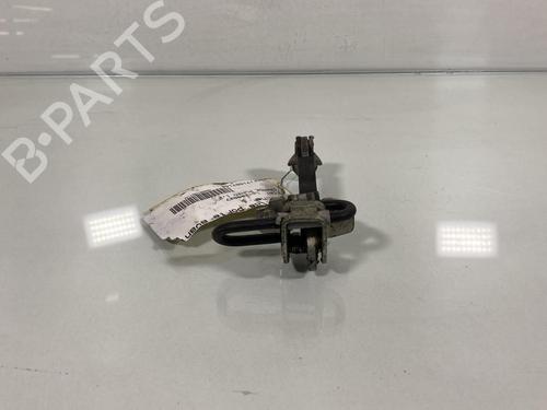 Hinge/Door check strap FIAT GRANDE PUNTO (199_)  | BP19965051C146 