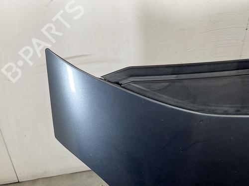 Hood CITROËN C4 Grand Picasso I (UA_) 2.0 HDi 150 | BP29886905C1