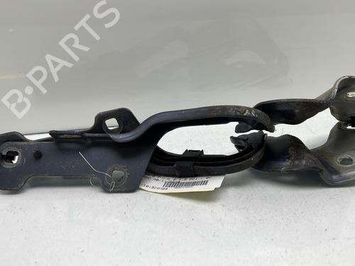 Hinge/Door check strap RENAULT CLIO III (BR0/1, CR0/1) 1.5 dCi | BP24428208C146 